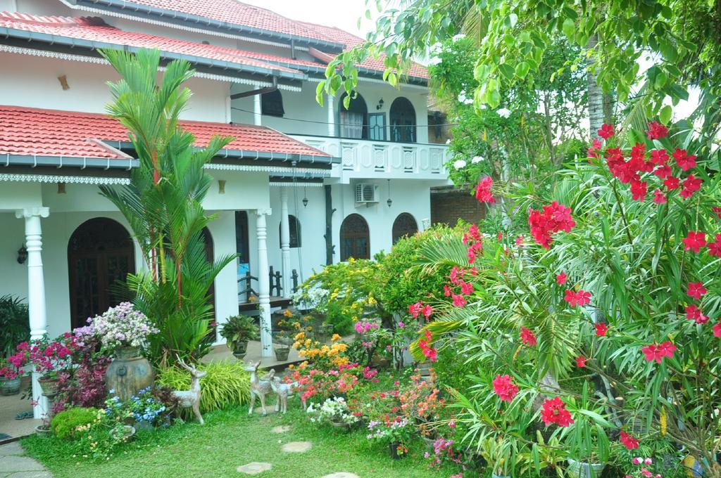 Angel Rest Hotel Mirissa Buitenkant foto