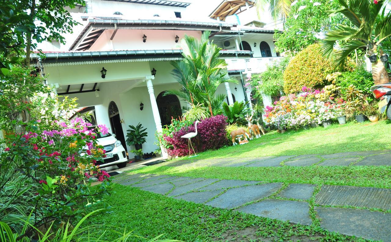 Angel Rest Hotel Mirissa Buitenkant foto