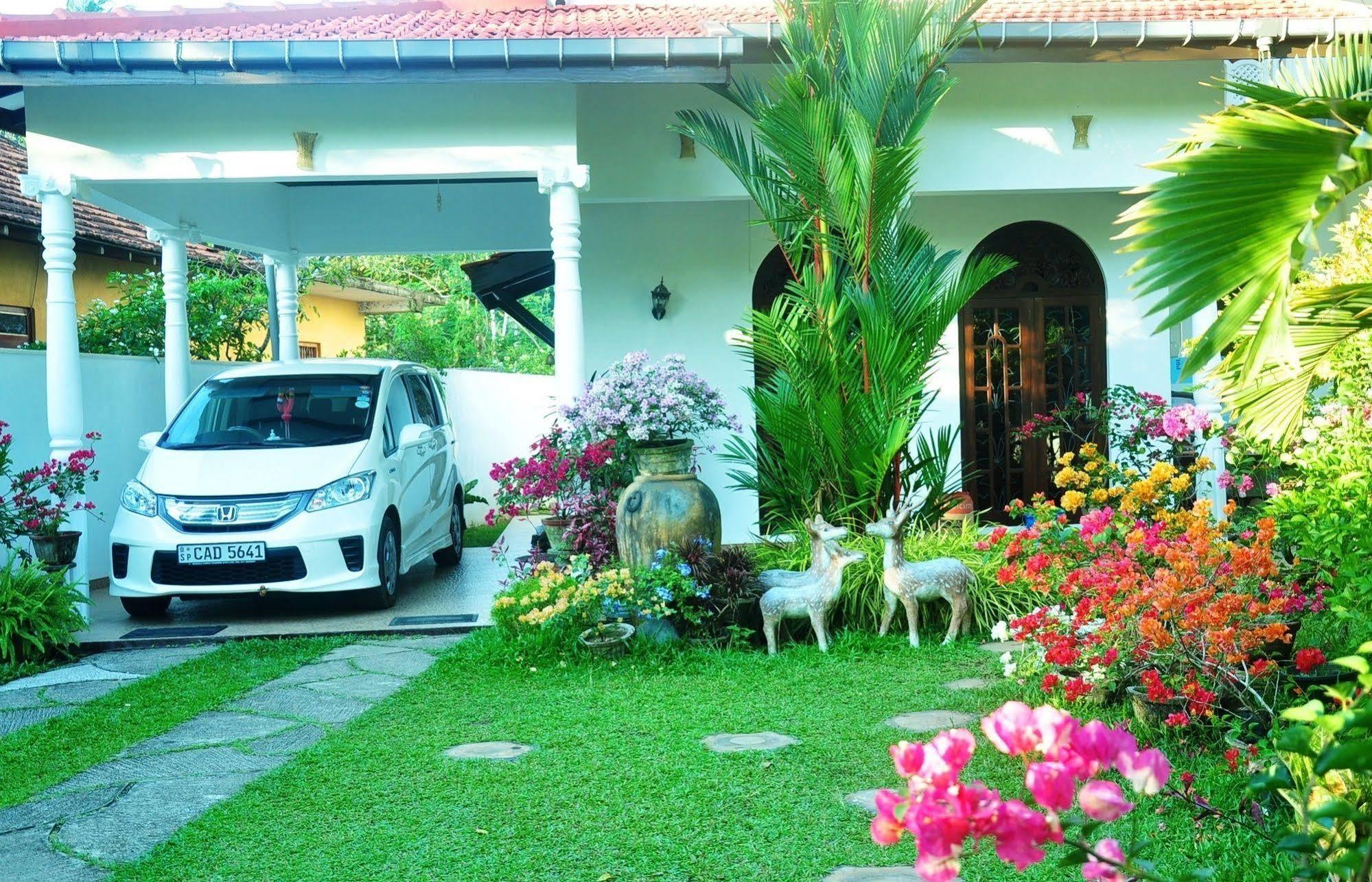 Angel Rest Hotel Mirissa Buitenkant foto